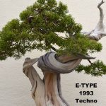 E-TYPE - Bonsai - Vinyl mix from 1993