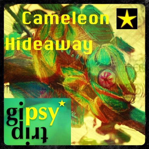 Cameleon Hideaway – gipsytrip